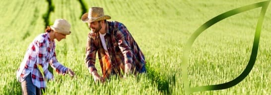Syngenta