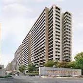Prestige Evergreen