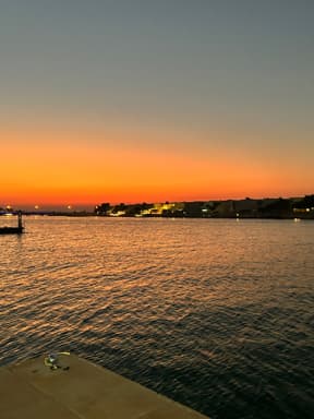 ساره العشار