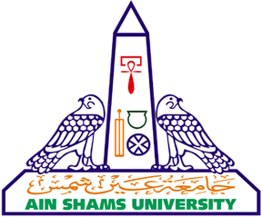 Ain Shams University
