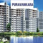 Prestige Goldengrove