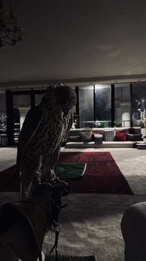 وليد الحمري