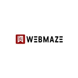 WEB MAZE