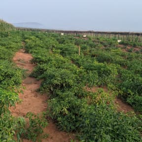 niyodusenga emmanuel