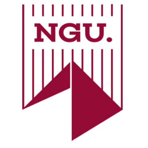 New Giza University