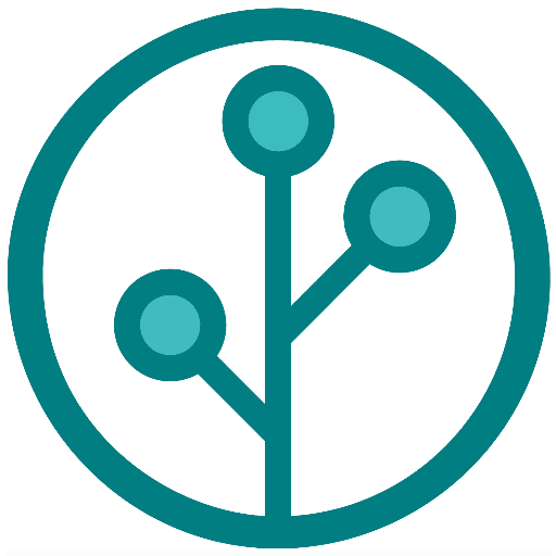 Olive Branch International Digital Solutions 