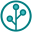 Olive Branch International Digital Solutions 
