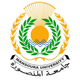 Electronics Engineering