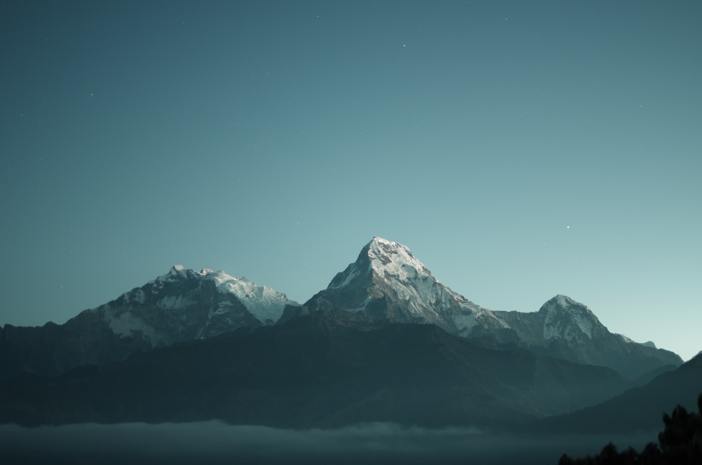 Sherpa Brokers