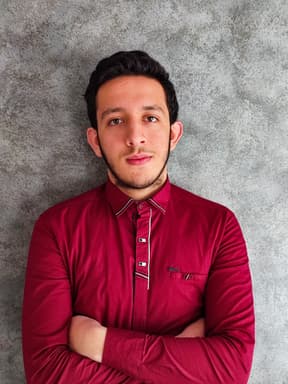 Tarek Masmoudi