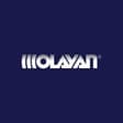 Olayan Saudi Holding Company
