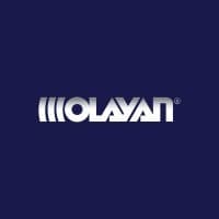 Olayan Saudi Holding Company