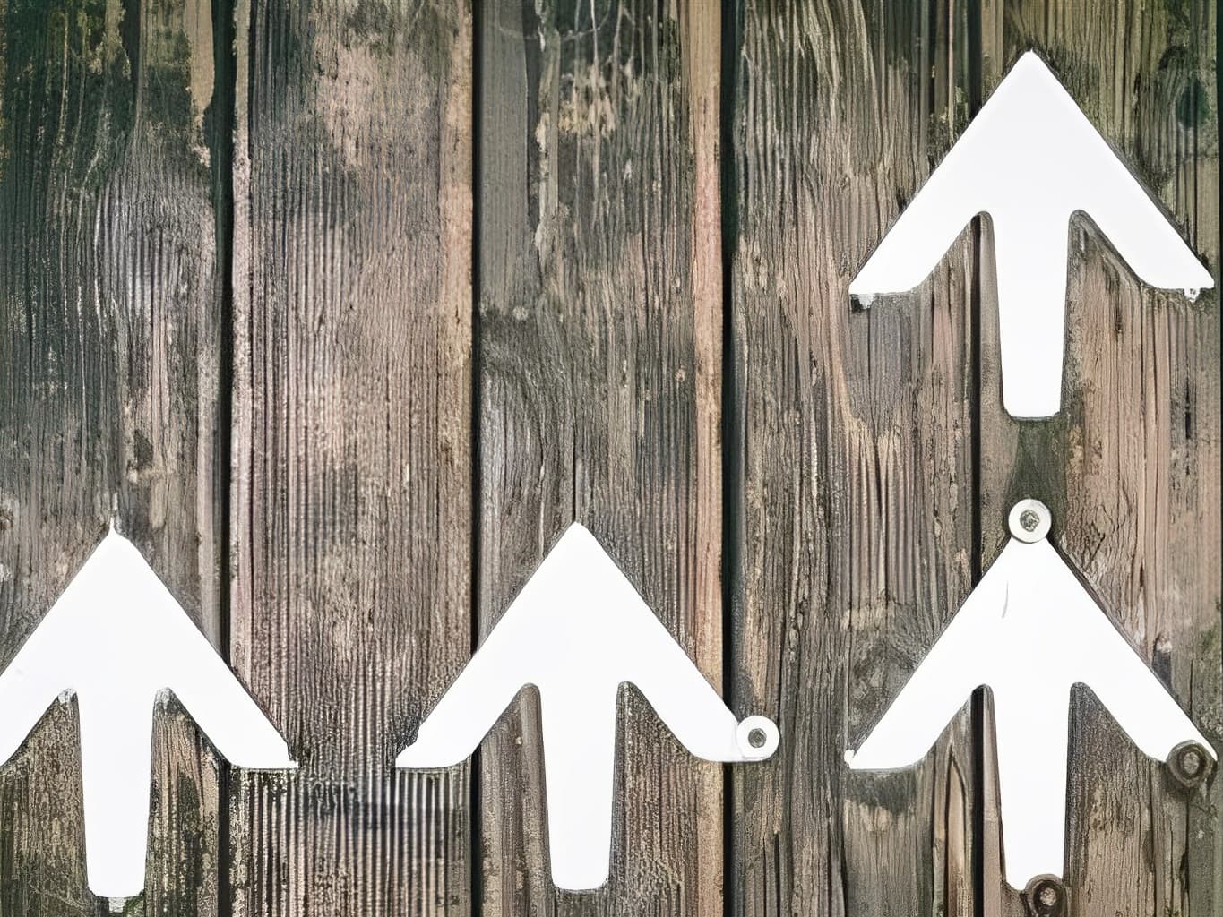 Sales & Customer Success: Best Practices