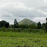 Amanya Milcah