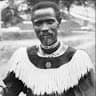 Mfoka Gumbii