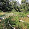 Muhondo Organic Farming Center