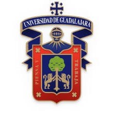 Universidad de Guadalajara (CUCEI)